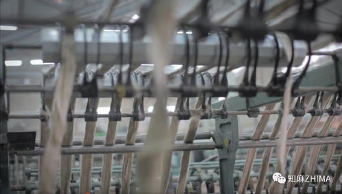 知訊005 紅海危機下的紡織業(yè)警鐘 亞麻紡紗廠面臨的挑戰(zhàn)與應(yīng)對策略