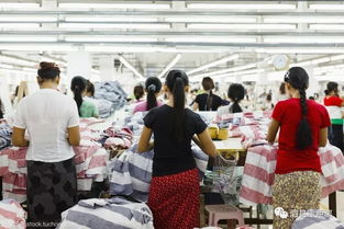 速遞 要火 泗縣被省里看中,獲批開展這項工作 草溝鎮積極謀劃2019年度鄉村振興重點項目